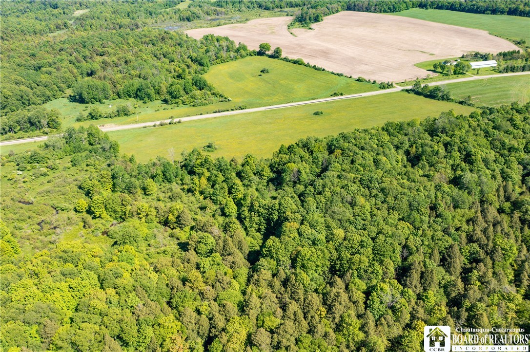 3946 Camp Road Sherman, NY 14781 - Photo 3 of 48