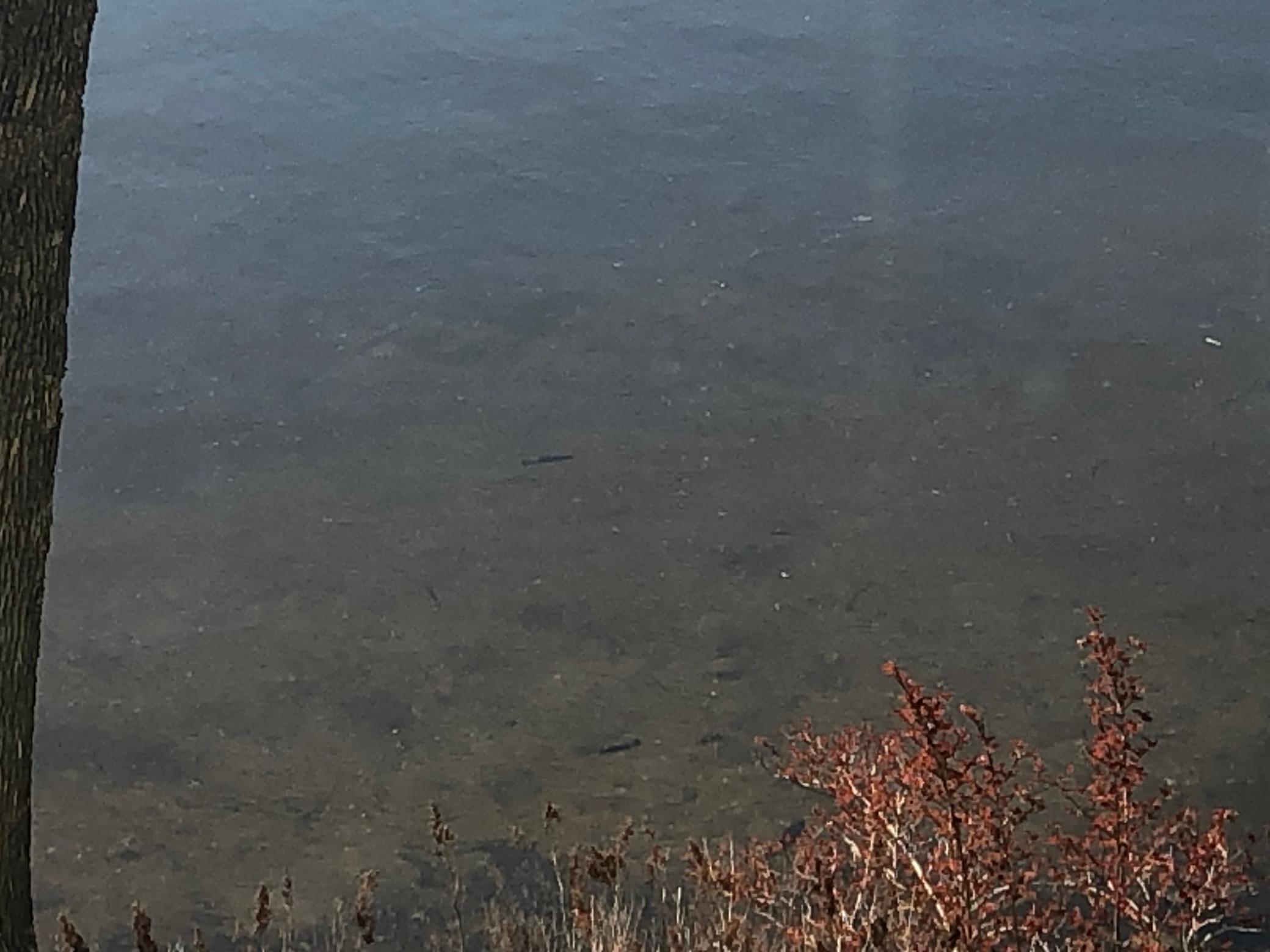 9849 Maple Ridge Road Garrison, MN 56450 - Photo 32 of 33