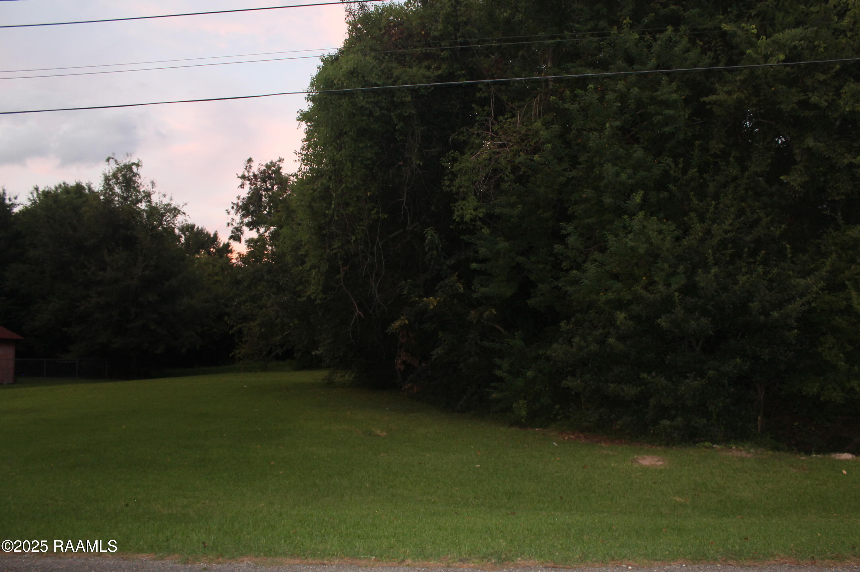 300 Duson Street Lafayette, LA 70506 - Photo 4 of 4 Perimeter Trees