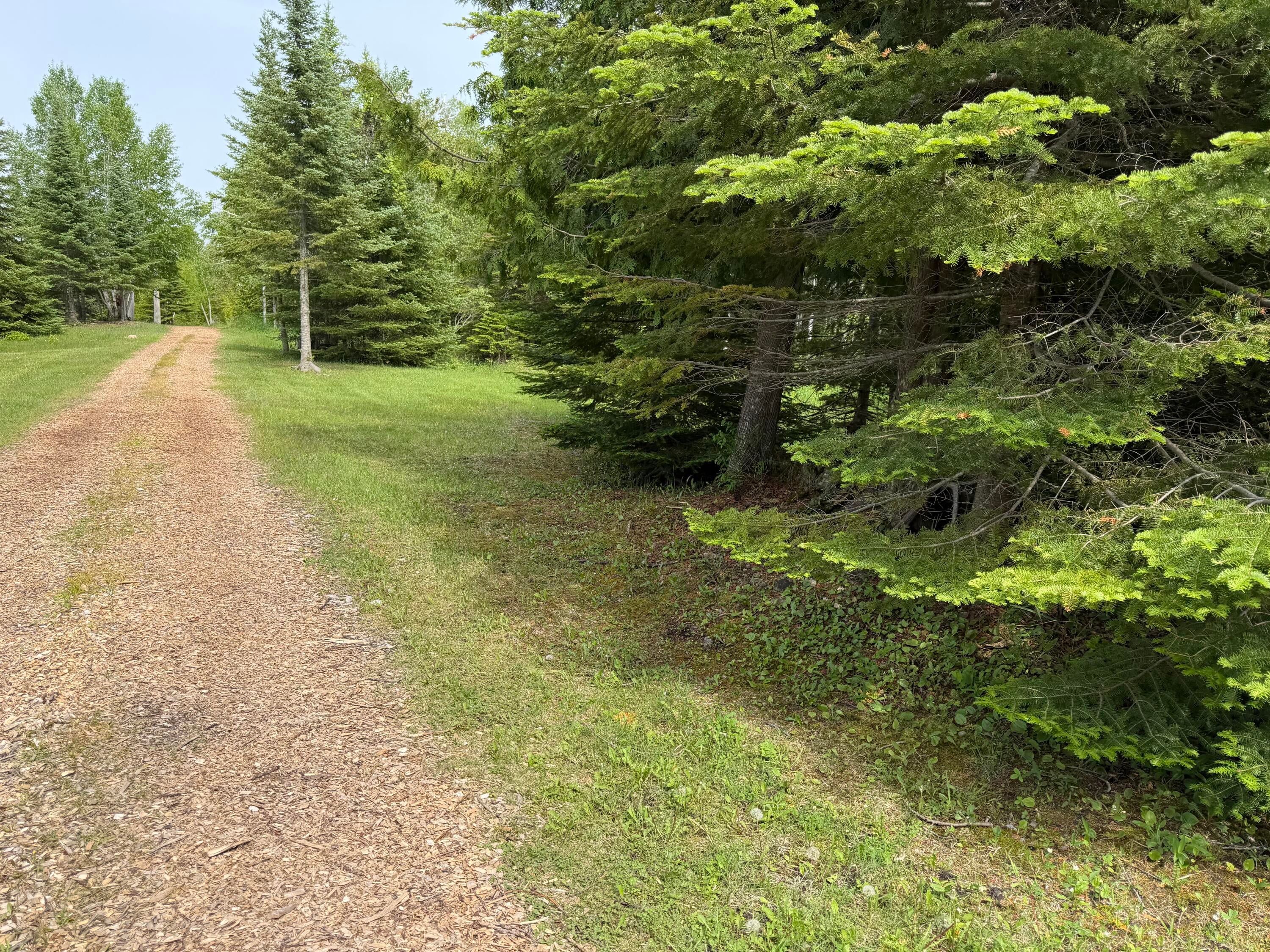 4 Wreck Road Alpena, MI 49707 - Photo 15 of 58 Gallery Image 15
