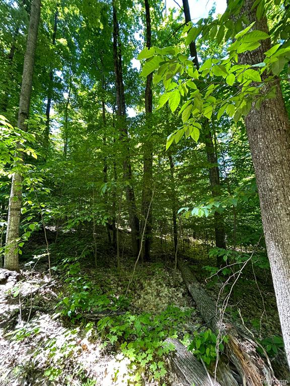 Vl Smith Lake Road Mancelona, MI 49659 - Photo 3 of 9