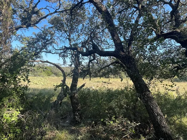 $197,000 | 3200 Elm Spgs Trail, Unit 17, Menard, TX 76859