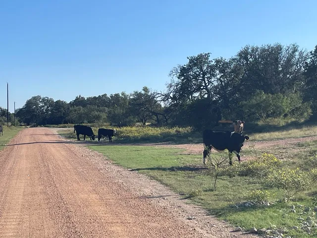 $197,000 | 3200 Elm Spgs Trail, Unit 17, Menard, TX 76859