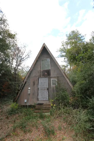 a backyard of a house with lots of plants and large tree