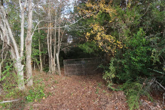 a backyard of a house with lots of plants and large trees
