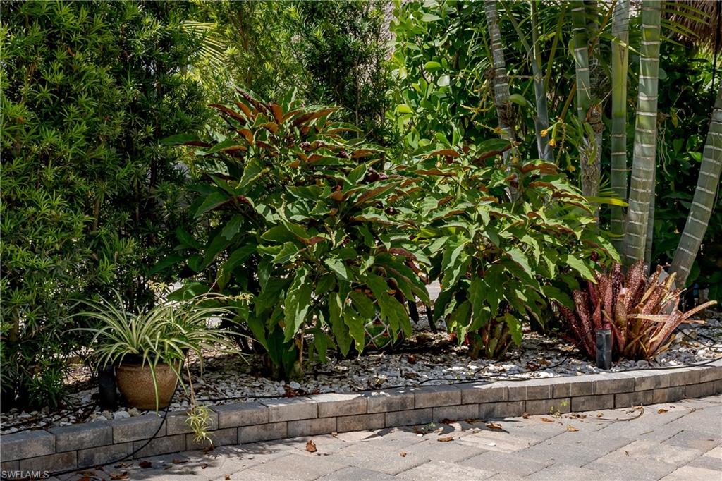 13573 Snapper Lane Naples, FL 34114 - Photo 15 of 47