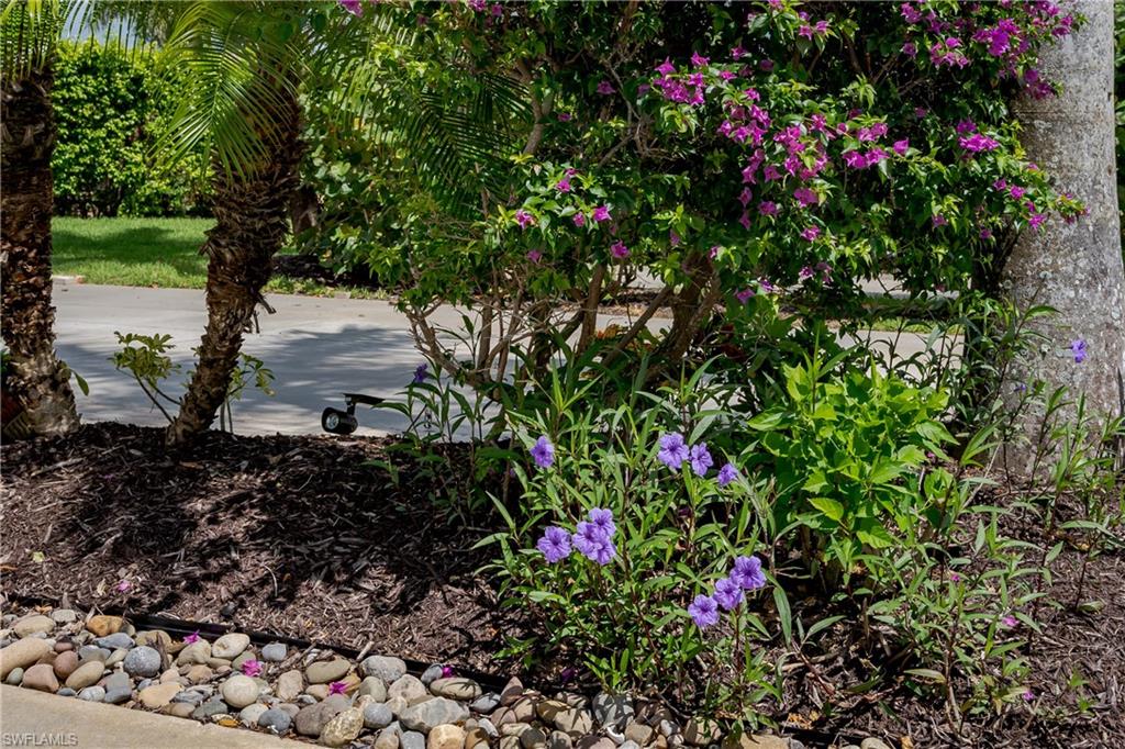 13573 Snapper Lane Naples, FL 34114 - Photo 34 of 47