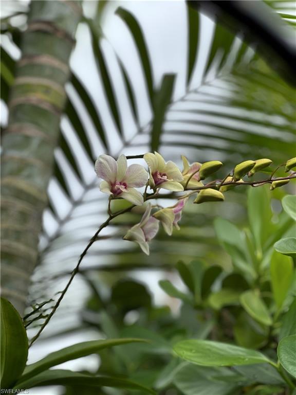 13573 Snapper Lane Naples, FL 34114 - Photo 35 of 47