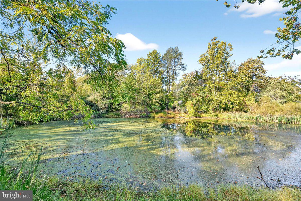 121 Midway Road Phoenixville, PA 19460 - Photo 44 of 55 Pond