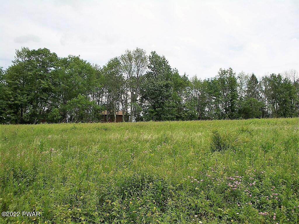 Lot 2 Avoy Heights Road Lake Ariel, PA 18436 - Photo 6 of 9