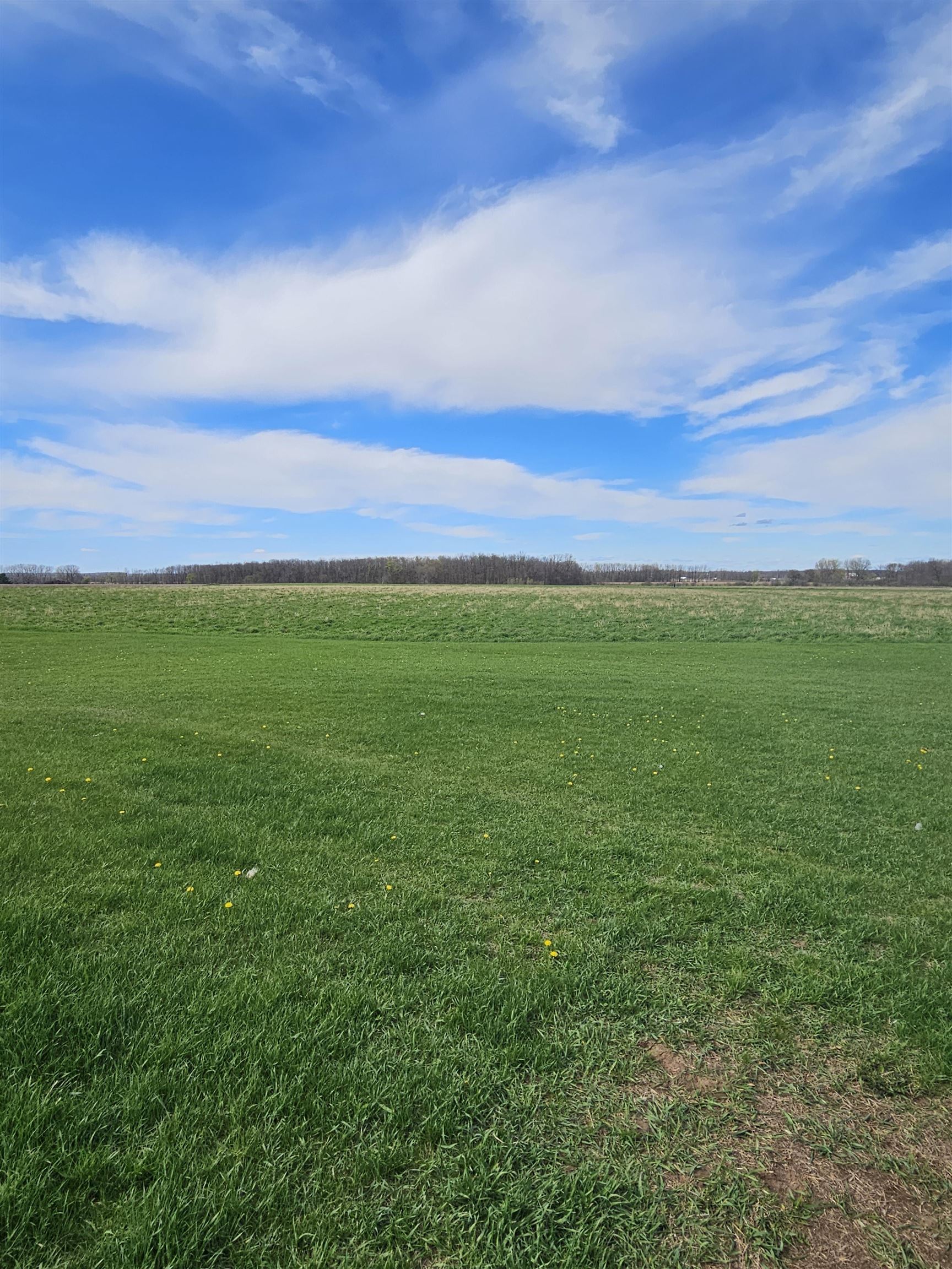County Road, Unit 1 Larsen, WI 54947 - Photo 4 of 24