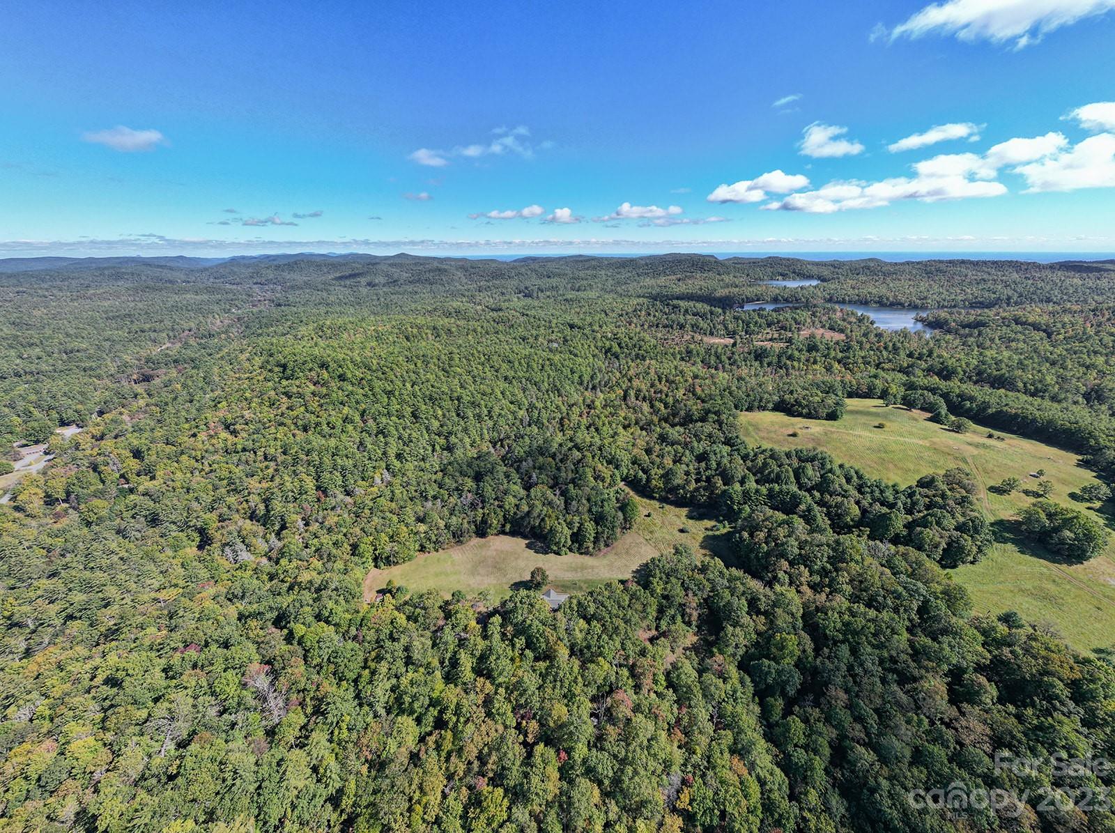 348 Becky Mountain Road Brevard, NC 28712 - Photo 19 of 26 a view of a green field with lots of bushes