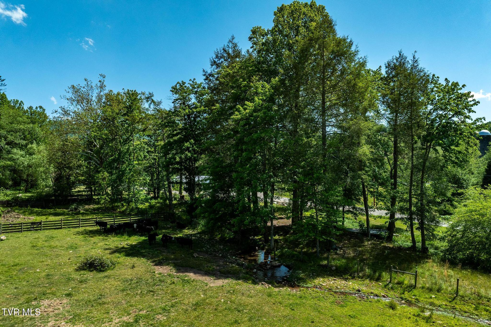 517 Mill Creek Road Mountain City, TN 37683 - Photo 33 of 52 517 Mill Creek Road (36 of 52)