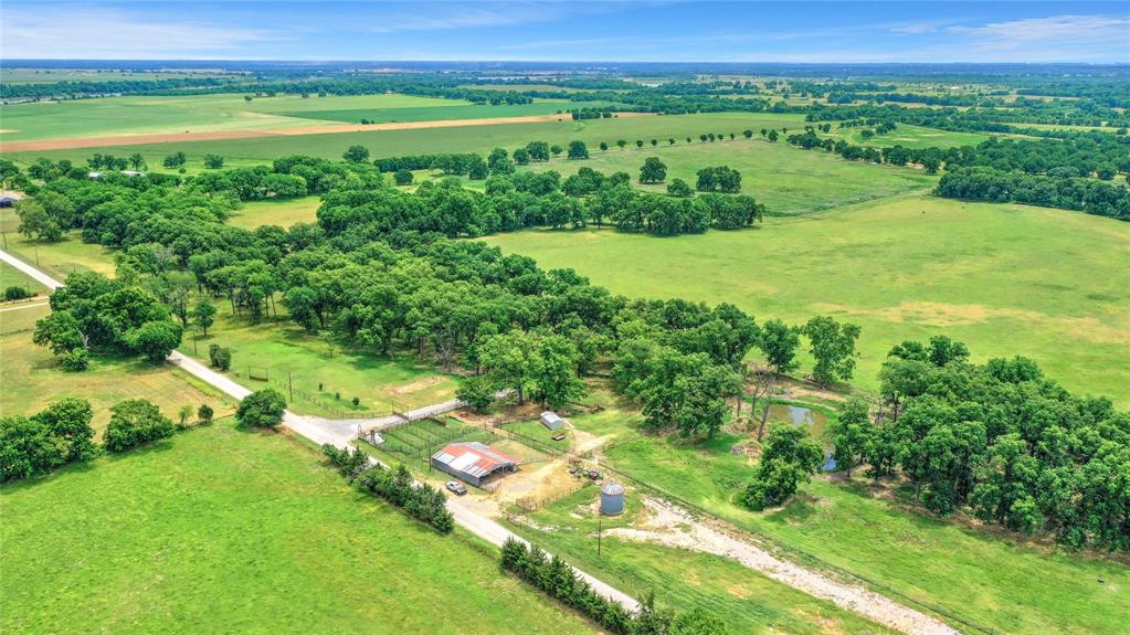 a view of a green field with lots of green plants in it