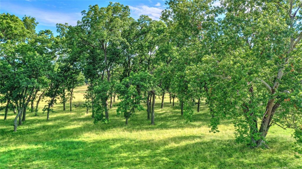 320 Elmore Road Denison, TX 75021 - Photo 16 of 29