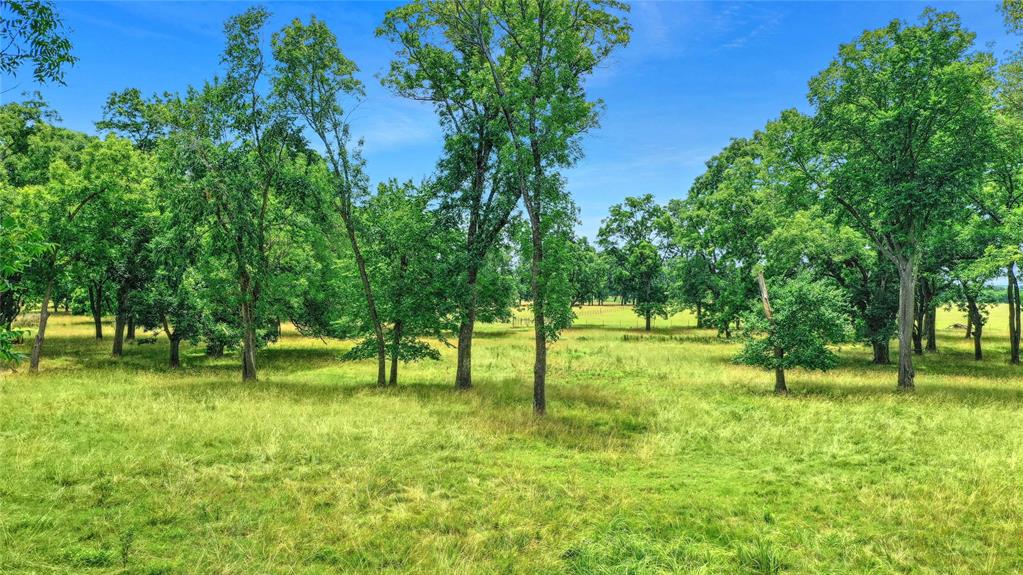 320 Elmore Road Denison, TX 75021 - Photo 2 of 29