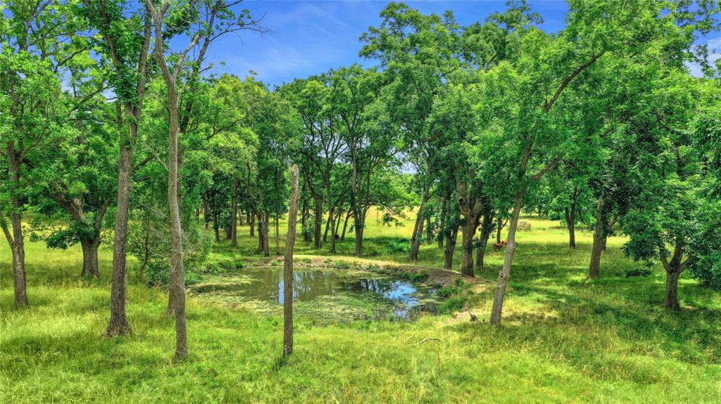 320 Elmore Road Denison, TX 75021 - Photo 3 of 29