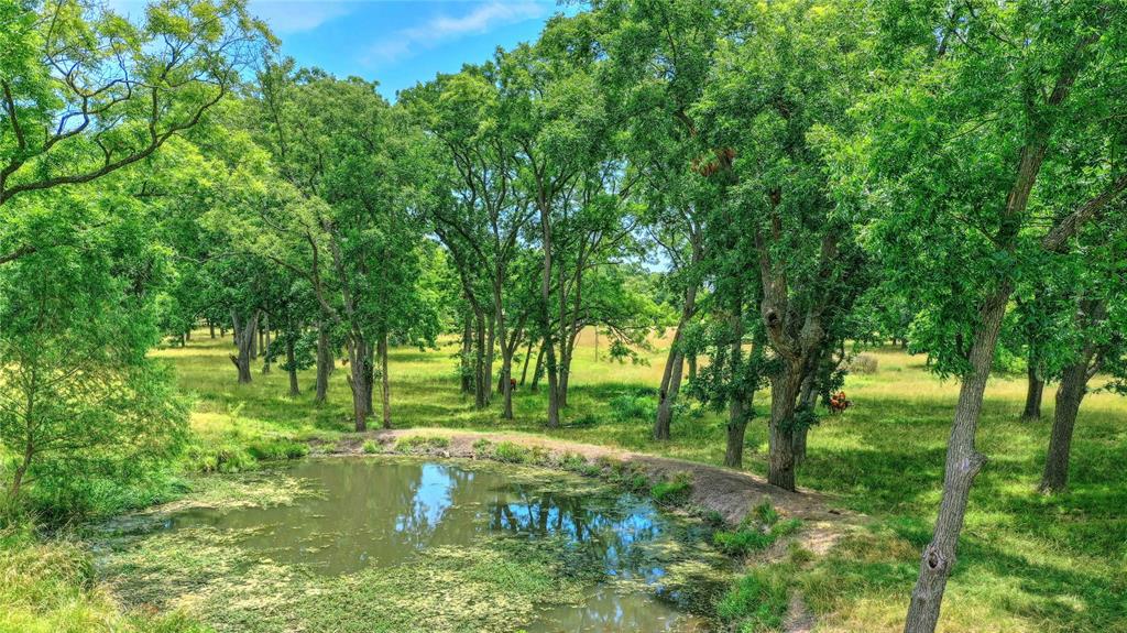 320 Elmore Road Denison, TX 75021 - Photo 4 of 29