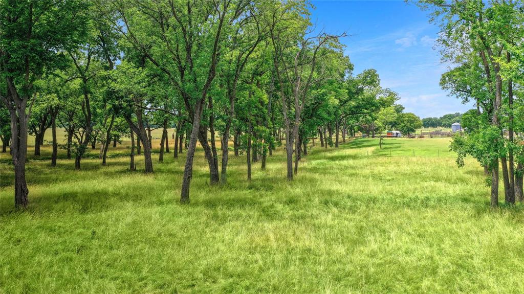 320 Elmore Road Denison, TX 75021 - Photo 5 of 29