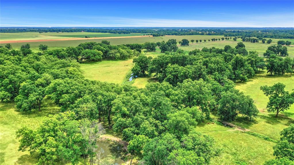 320 Elmore Road Denison, TX 75021 - Photo 7 of 29