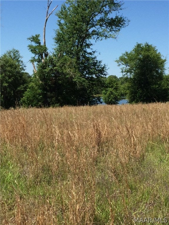 O O Naftel Road Ramer, AL 36069 - Photo 2 of 25 Gallery Image 2