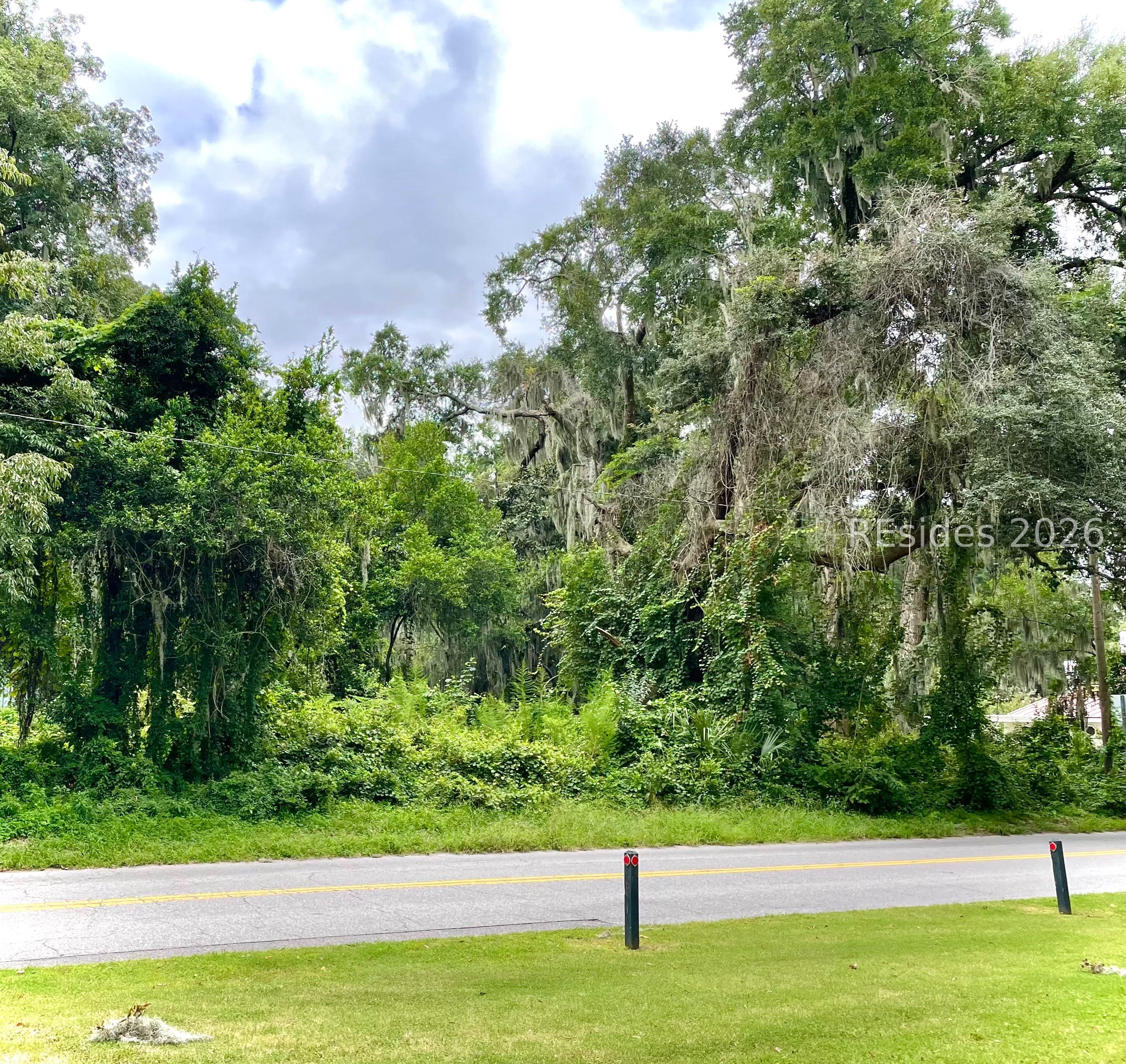 69 Green Street Bluffton, SC 29910 - Photo 2 of 4