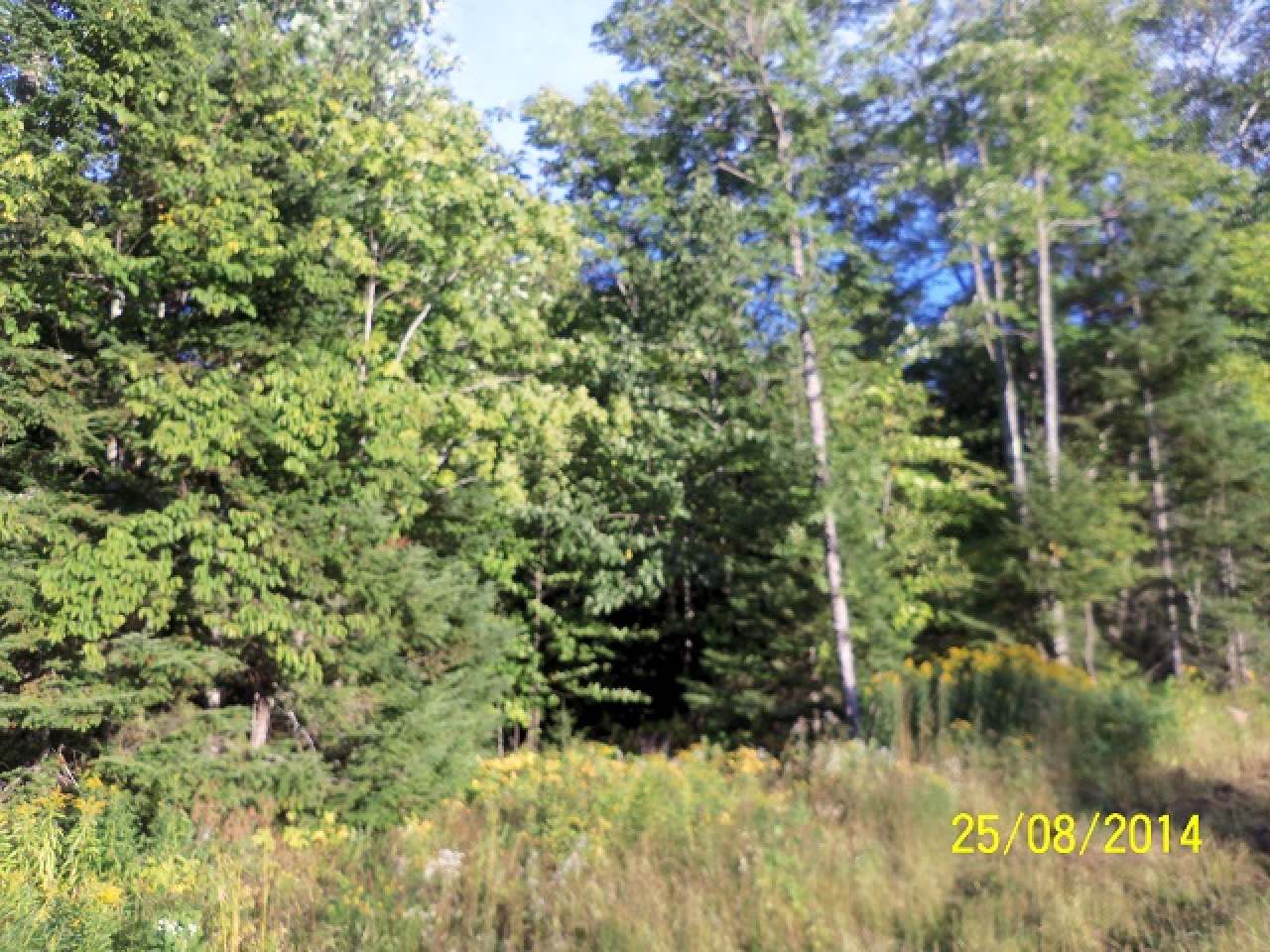 Lot 32 Nathan Pass Mercer, WI 54547 - Photo 2 of 8 Gallery Image 2