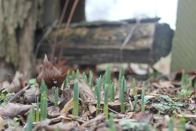 $2,500,000 | 469 Justamere Farm Road, Greensboro, NC 27455