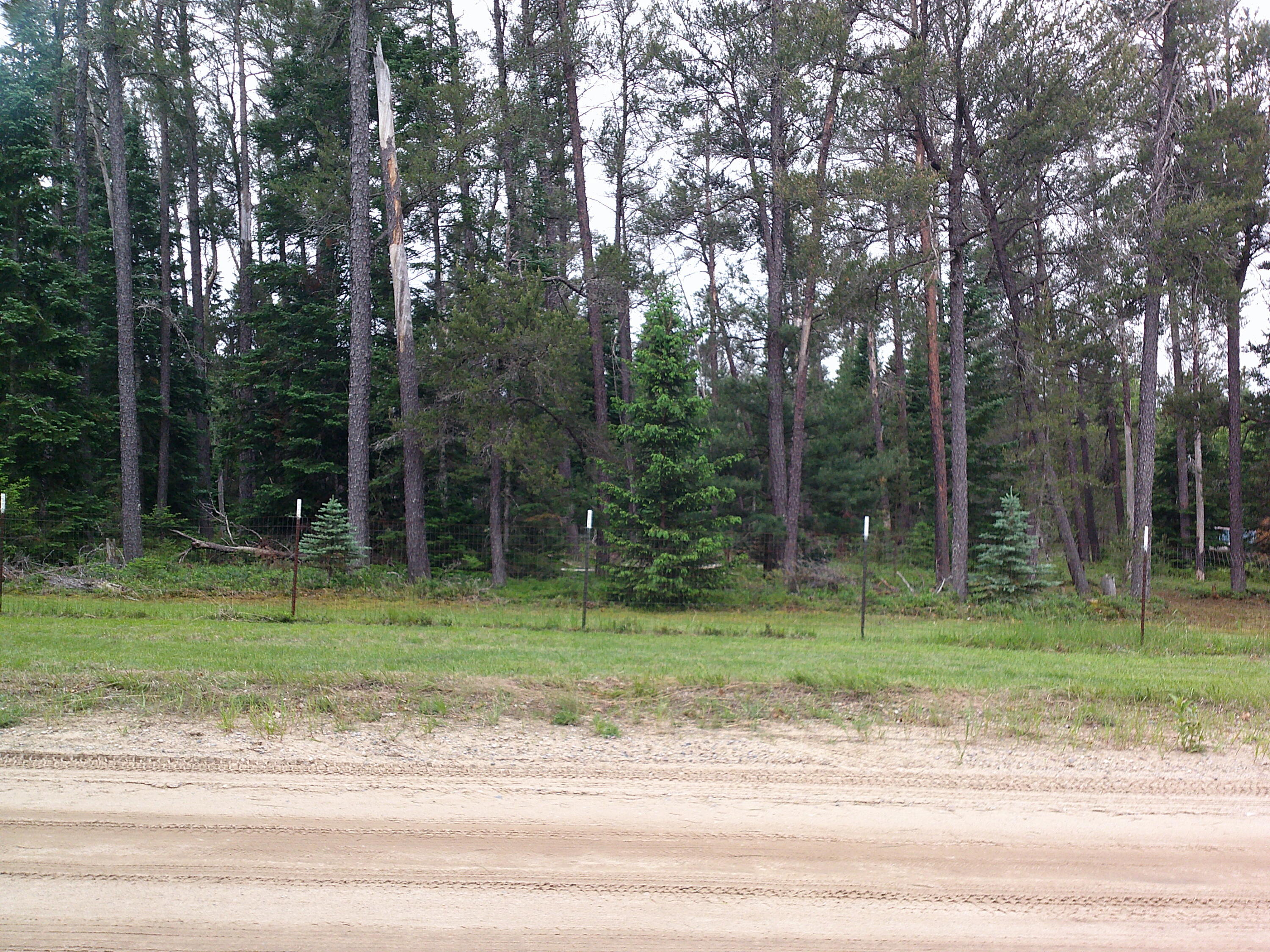 Shaw Park Road Grayling, MI 49738 - Photo 1 of 12 Gallery Image 1