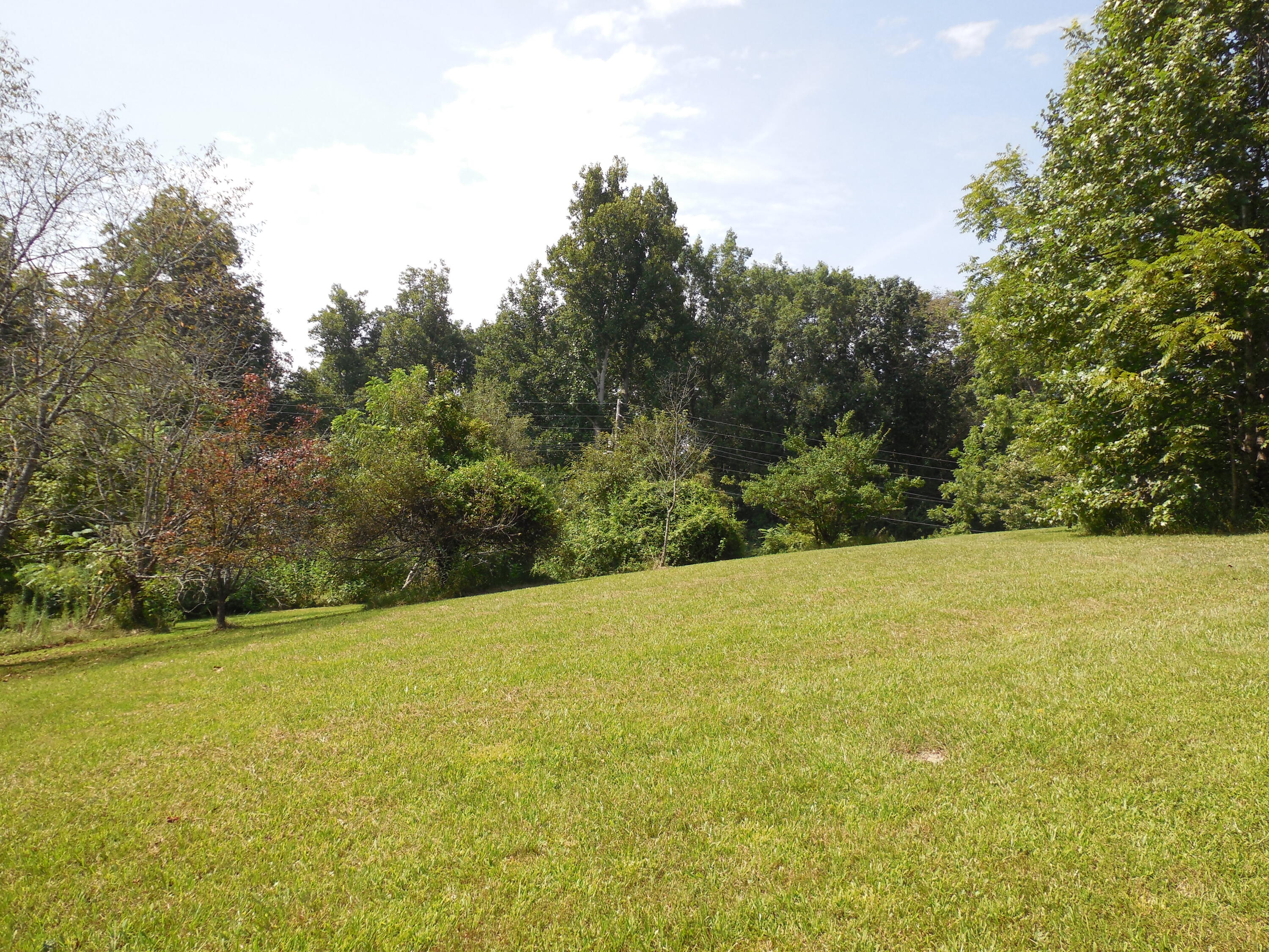 Tbd Walnut Grove Road Bluff City, TN 37618 - Photo 12 of 34 DSCN3383