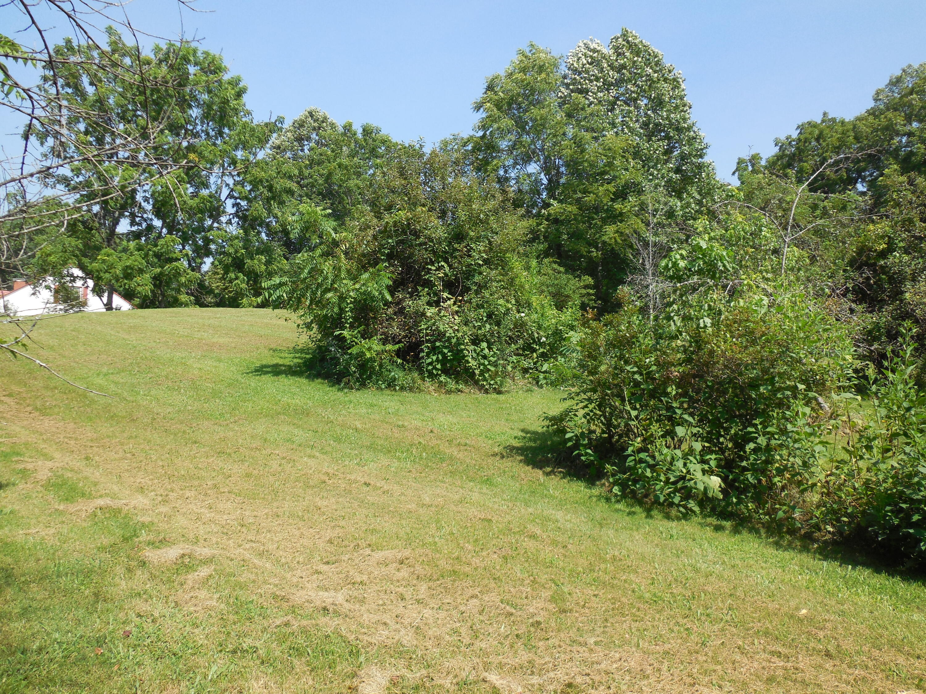 Tbd Walnut Grove Road Bluff City, TN 37618 - Photo 16 of 34 DSCN3387
