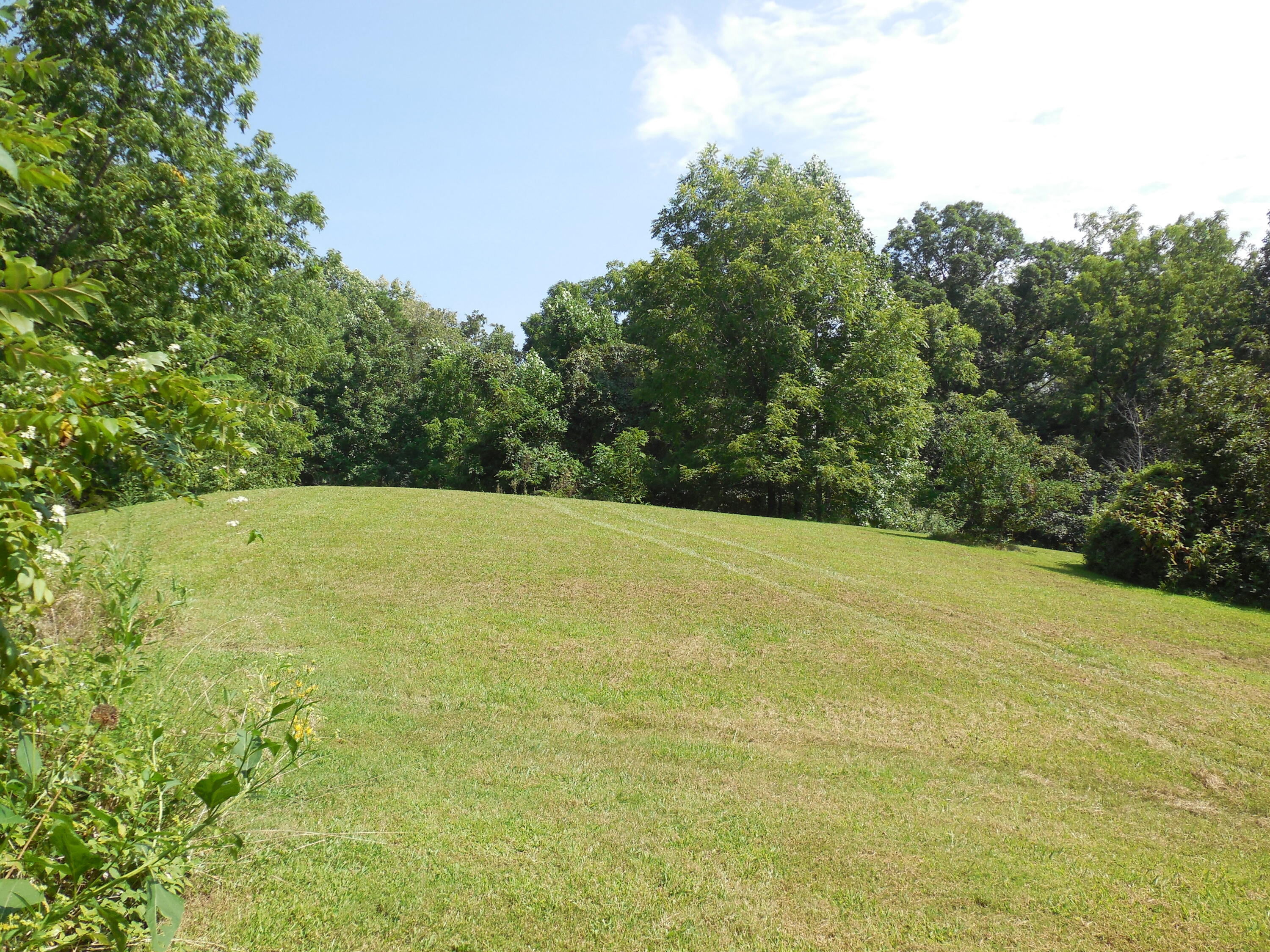 Tbd Walnut Grove Road Bluff City, TN 37618 - Photo 6 of 34 DSCN3391
