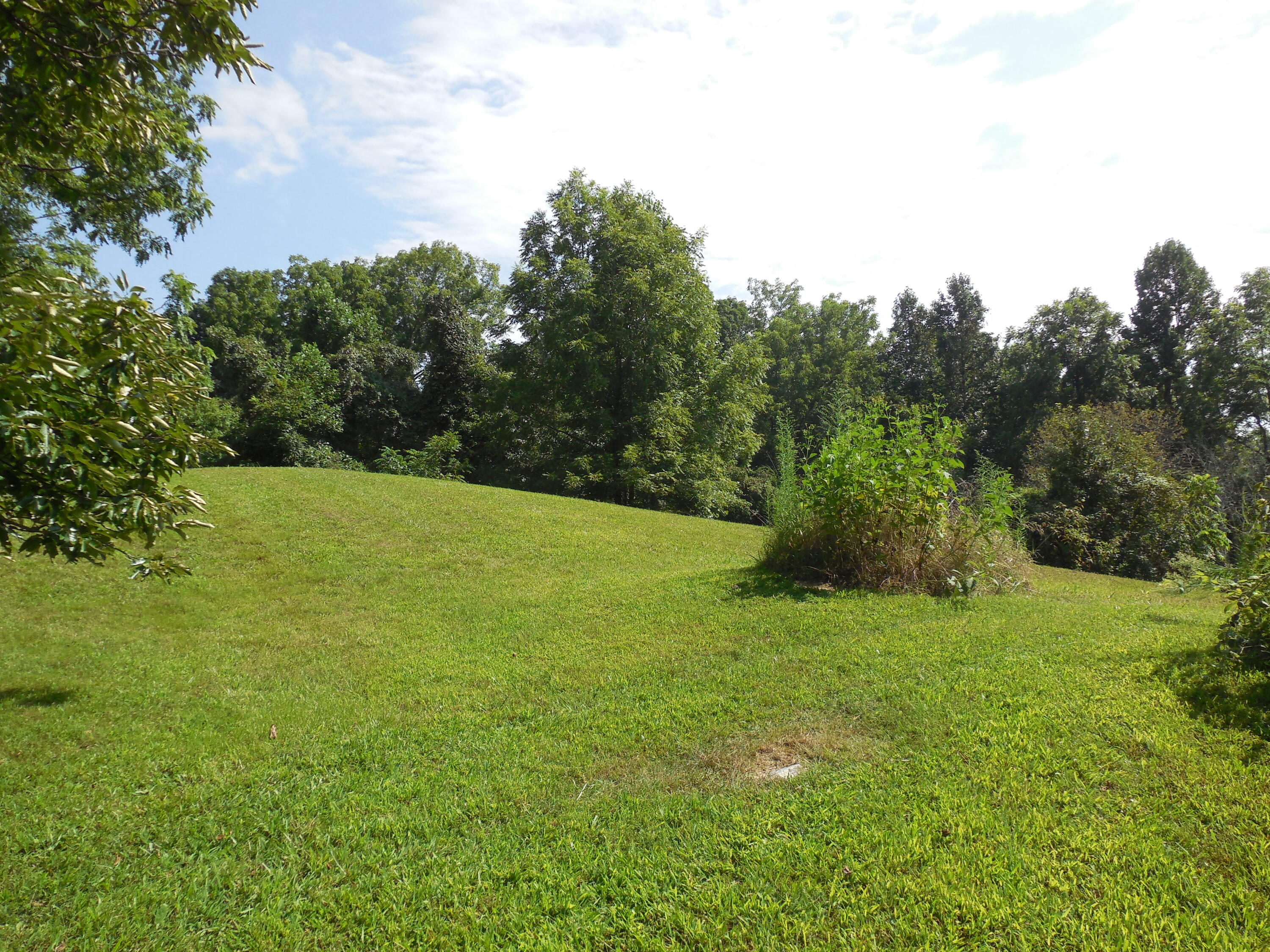 Tbd Walnut Grove Road Bluff City, TN 37618 - Photo 8 of 34 DSCN3392