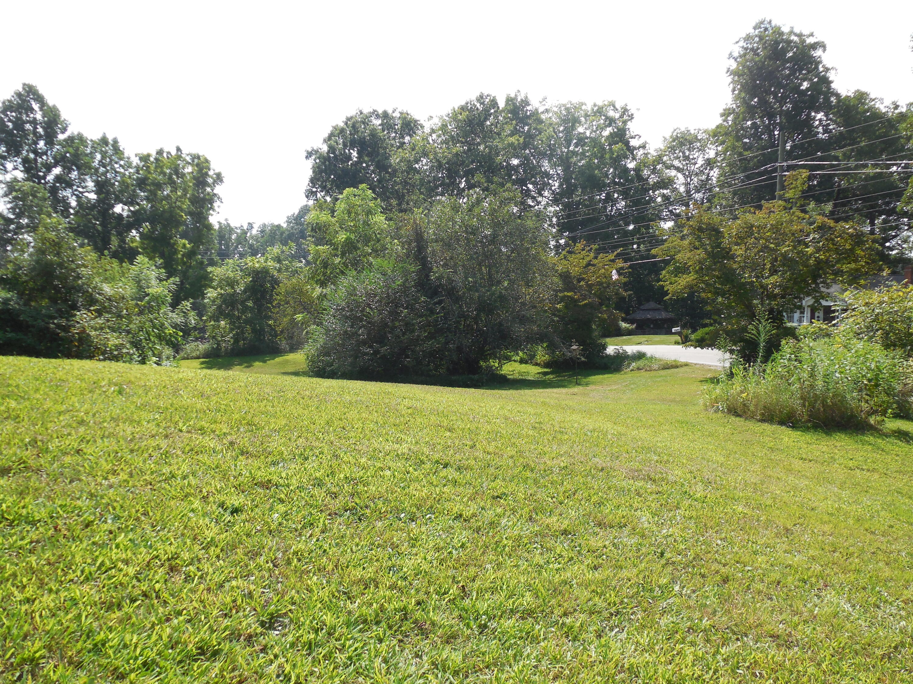 Tbd Walnut Grove Road Bluff City, TN 37618 - Photo 9 of 34 DSCN3393