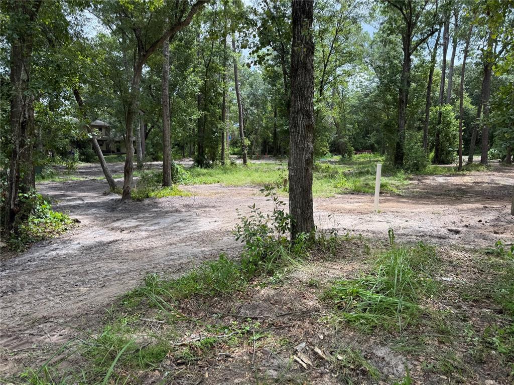 Tbd Waldo, FL 32694 - Photo 2 of 17