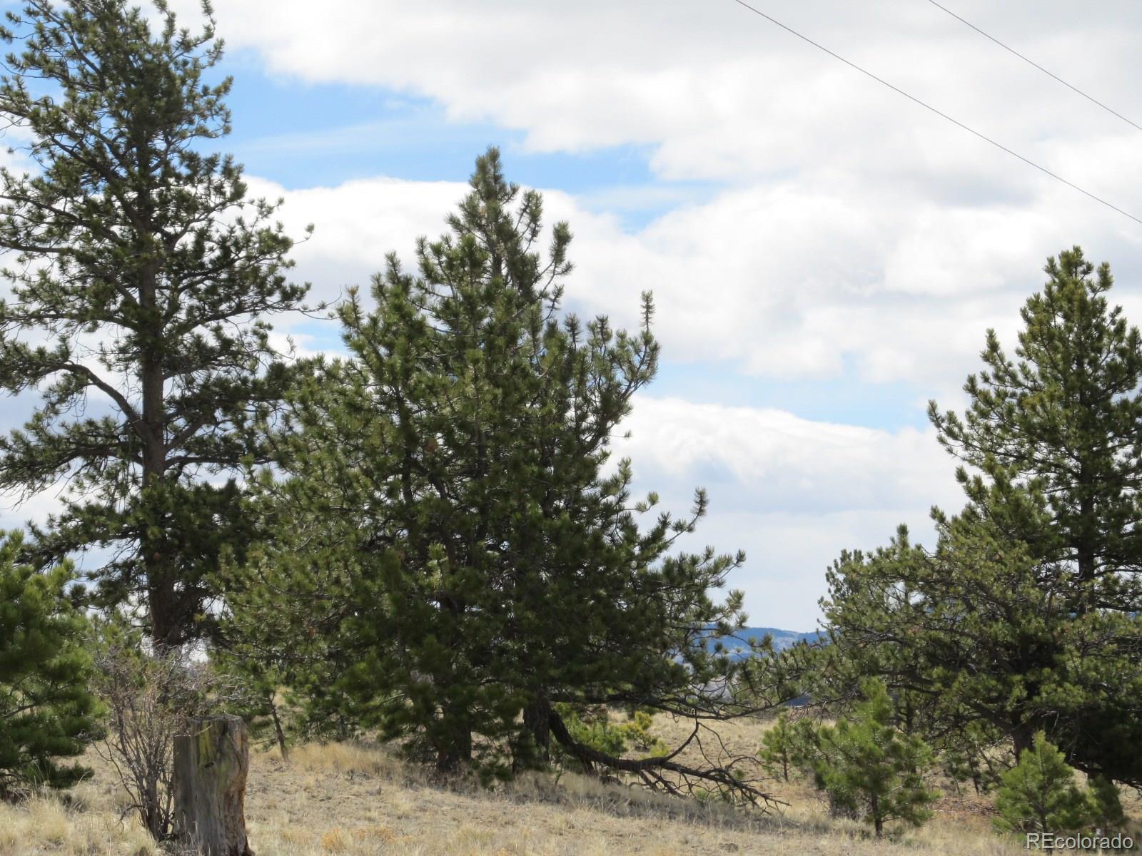 0 Running Bear Road Hartsel, CO 80449 - Photo 3 of 8