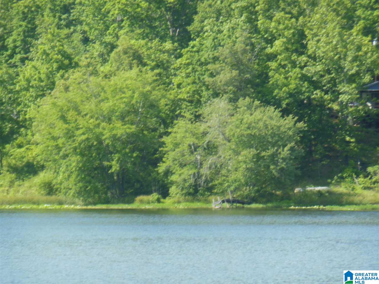 Lot 1 Lakeview Drive, Unit 1 Oneonta, AL 35121 - Photo 1 of 3