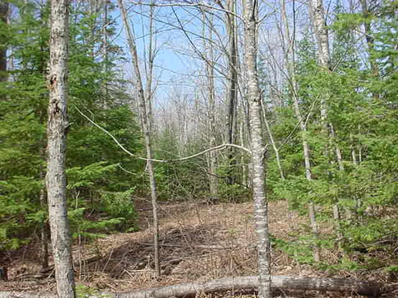 Off Flowage Road, Unit PARCEL D Hurley, WI 54534 - Photo 5 of 13 Gallery Image 5