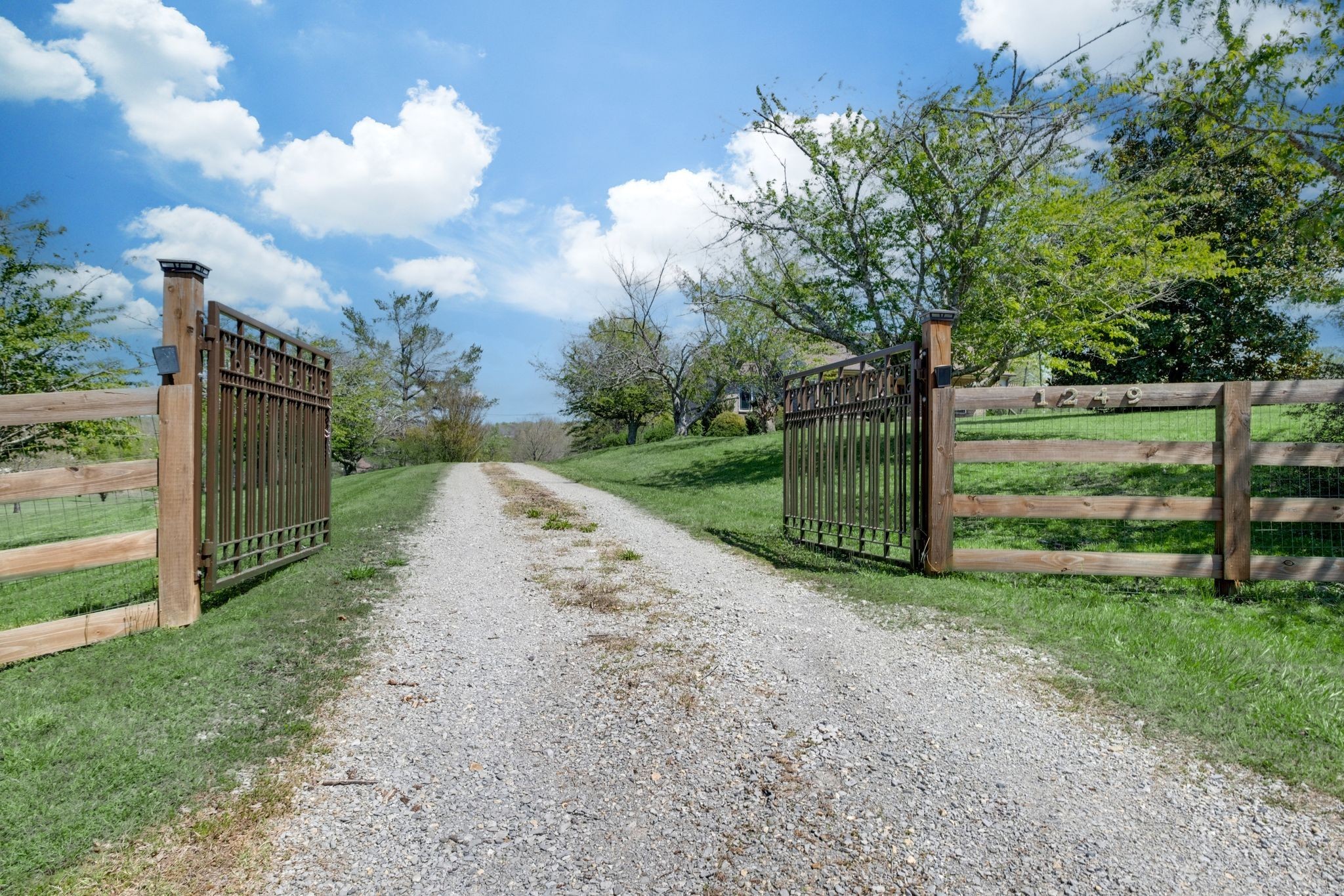 1249 White Road Bon Aqua, TN 37025 - Photo 45 of 60 a view of a park with large trees