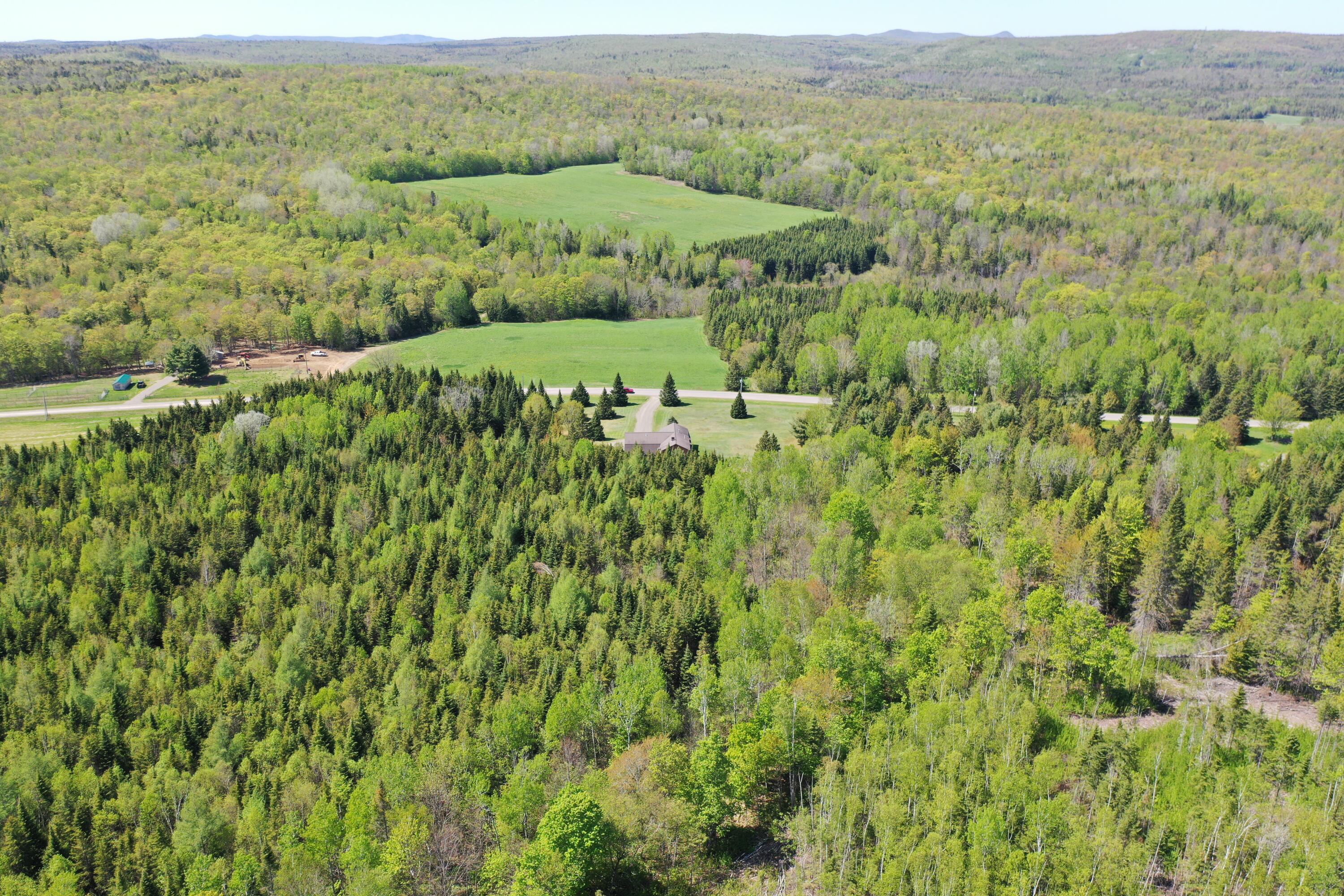 1296 East Plantation Road Blaine, ME 04734 - Photo 4 of 29 DJI_0999