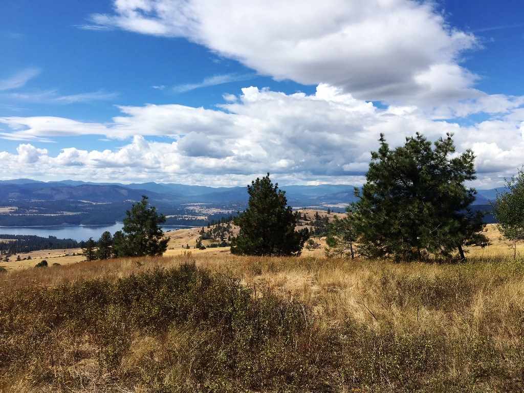 3294 F Bradeen Road Rice, WA 99167 - Photo 14 of 18