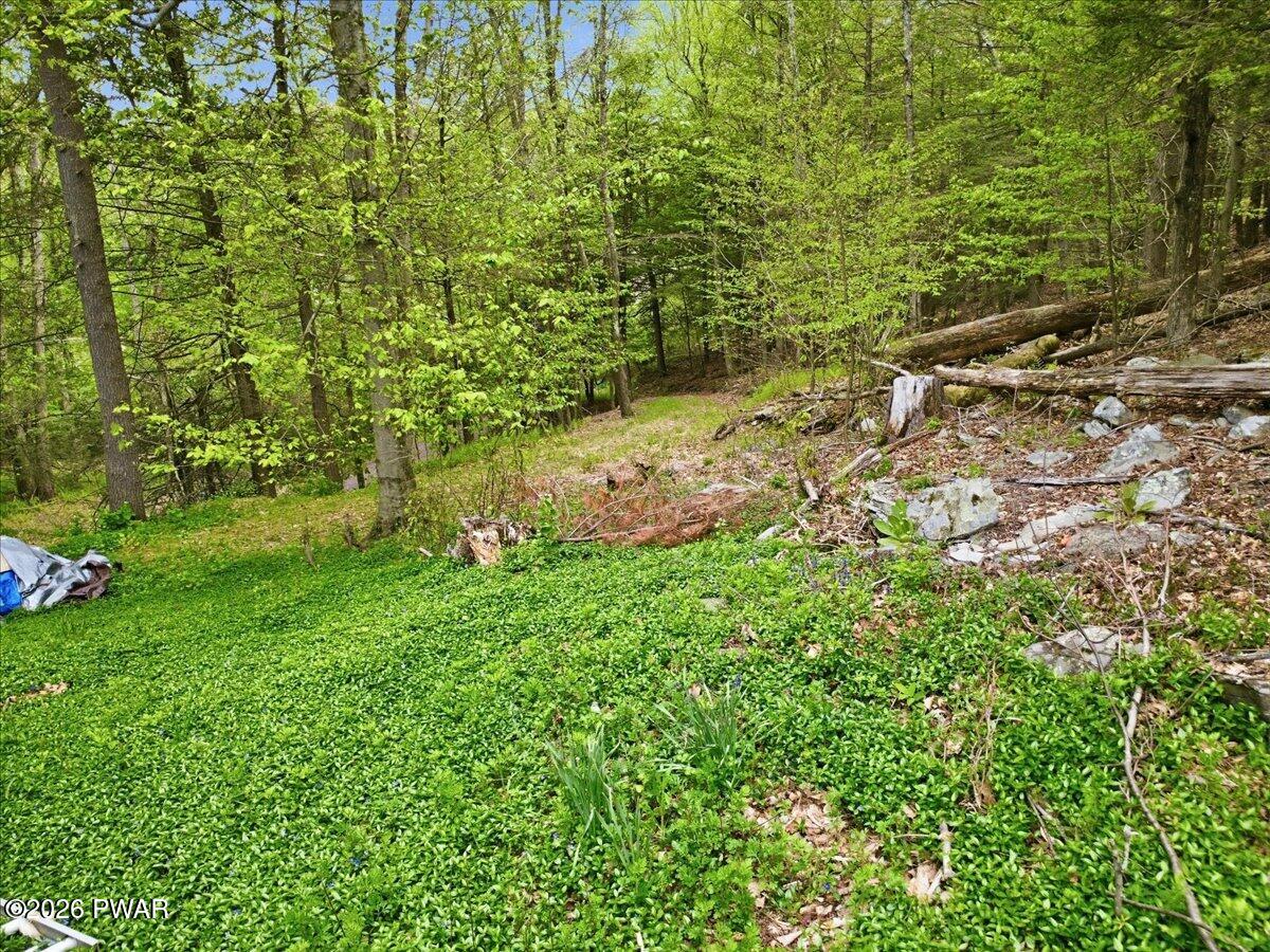 103 Forever Green Road Lakeville, PA 18438 - Photo 54 of 179