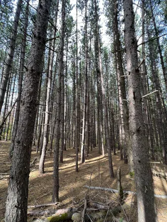 $69,500 | 15 Airport Avenue, Frenchville, ME 04745