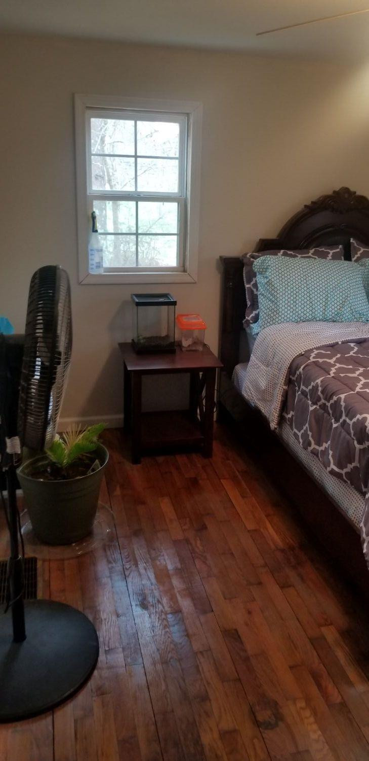 3474 Scaffold Cane Road Berea, KY 40403 - Photo 18 of 54 Listing Photo