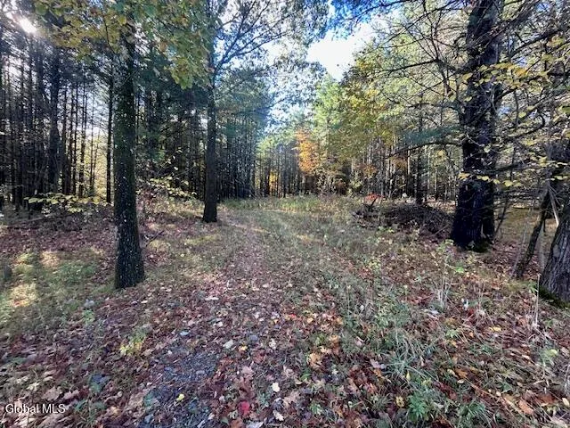 $69,900 | 87 Le Loup Road, Pittstown, NY 12121