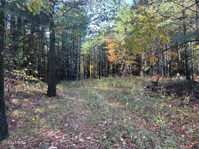 $69,900 | 87 Le Loup Road, Pittstown, NY 12121