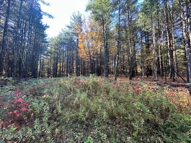 $69,900 | 87 Le Loup Road, Pittstown, NY 12121