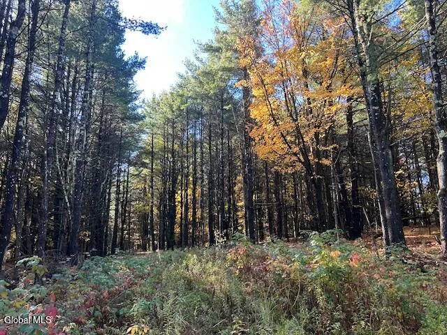 $69,900 | 87 Le Loup Road, Pittstown, NY 12121