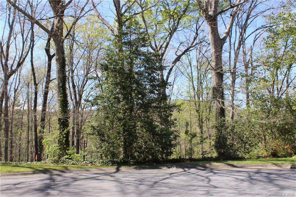Tbd Forest Ridge Avenue, Unit 7 Brevard, NC 28712 - Photo 11 of 13 Gallery Image 11