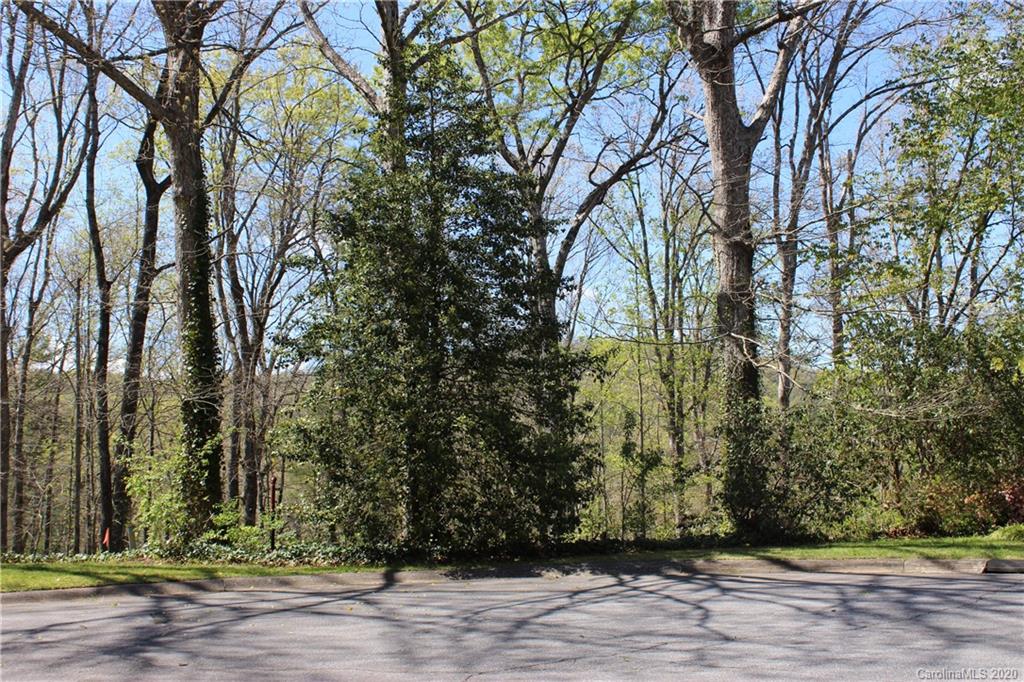 Tbd Forest Ridge Avenue, Unit 7 Brevard, NC 28712 - Photo 12 of 13 Gallery Image 12